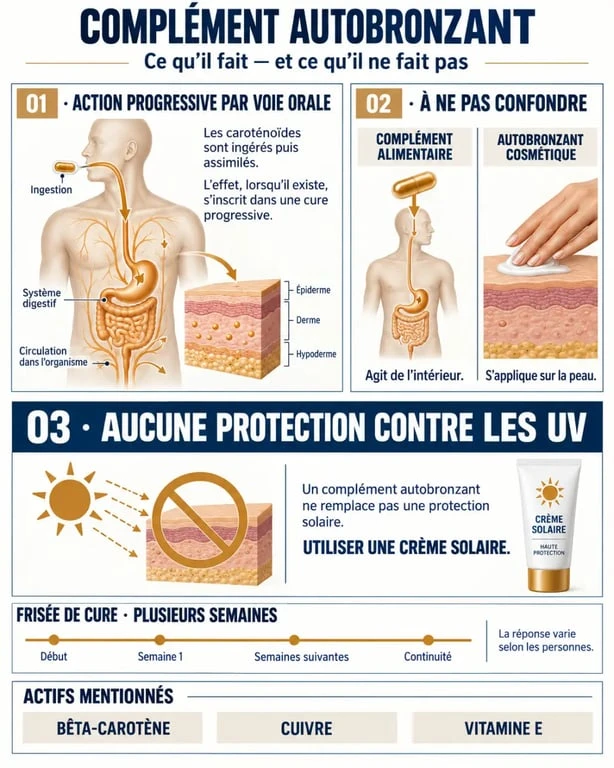 Infographie sur le complément alimentaire autobronzant, ses actifs et l’absence de protection solaire